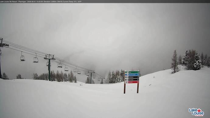 Webcam Lake Louise: Ptarmigan