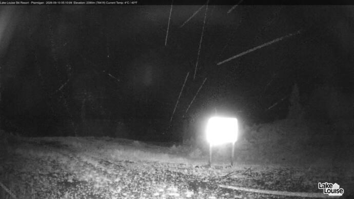 Webcam Lake Louise: Ptarmigan