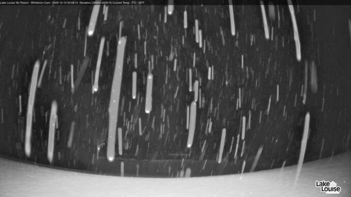 Webcam Lake Louise: Whitehorn Bistro Patio