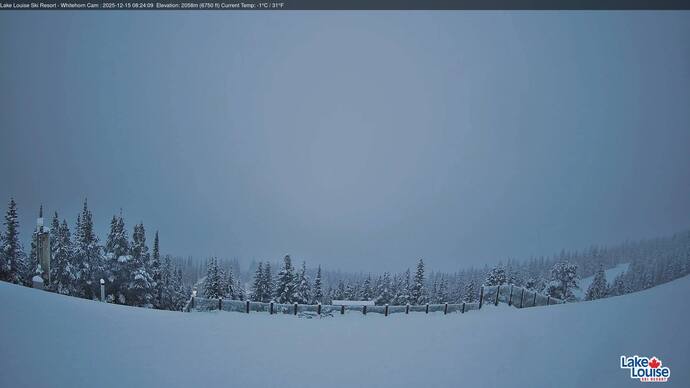 Webcam Lake Louise: Whitehorn Bistro Patio