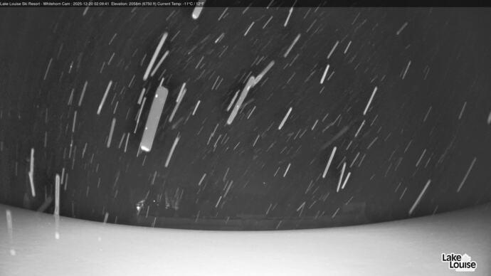 Webcam Lake Louise: Whitehorn Bistro Patio