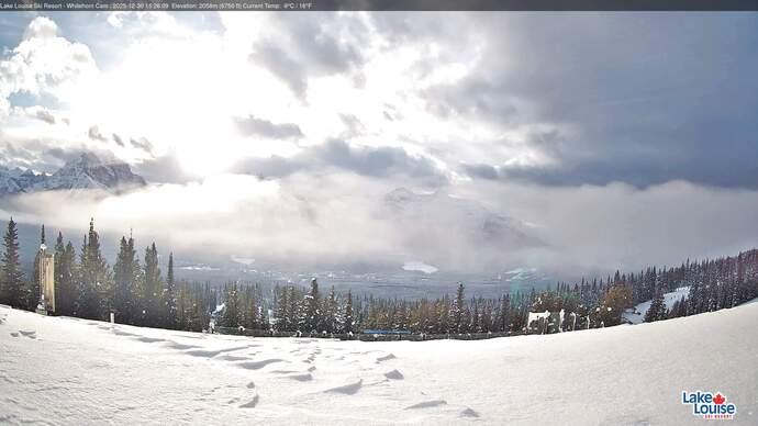 Webcam Lake Louise: Whitehorn Bistro Patio
