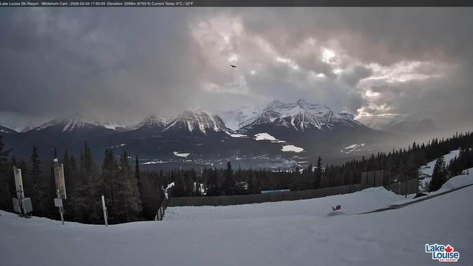 Webcam Lake Louise: Whitehorn Bistro Patio