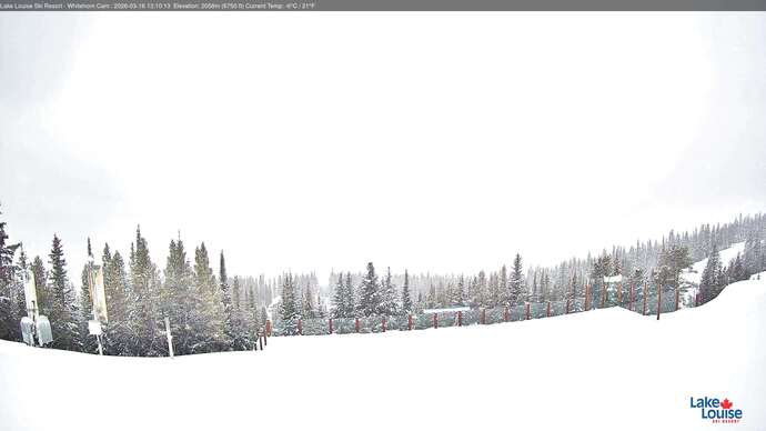 Webcam Lake Louise: Whitehorn Bistro Patio