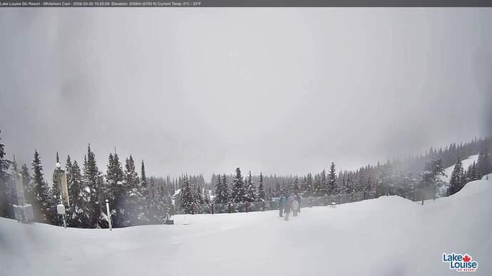 Webcam Lake Louise: Whitehorn Bistro Patio