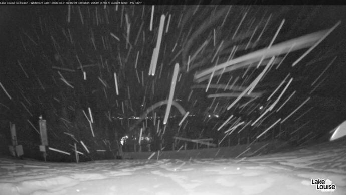 Webcam Lake Louise: Whitehorn Bistro Patio