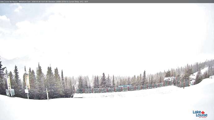 Webcam Lake Louise: Whitehorn Bistro Patio