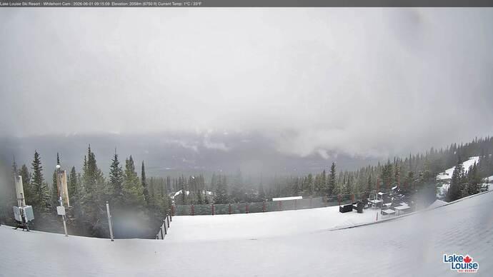 Webcam Lake Louise: Whitehorn Bistro Patio