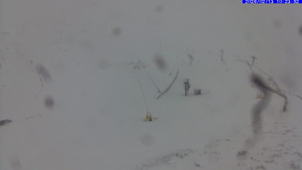 Webcam Leitariegos: Zona alta