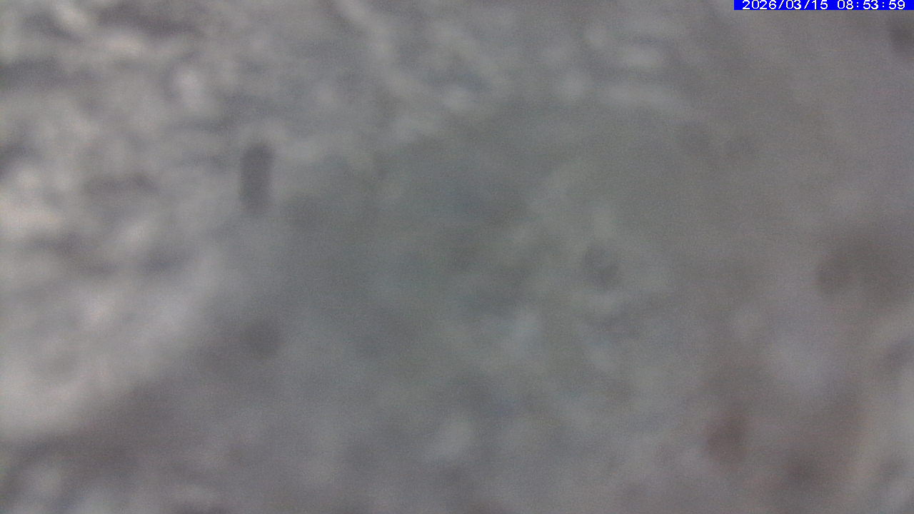 Webcam Leitariegos: Zona alta