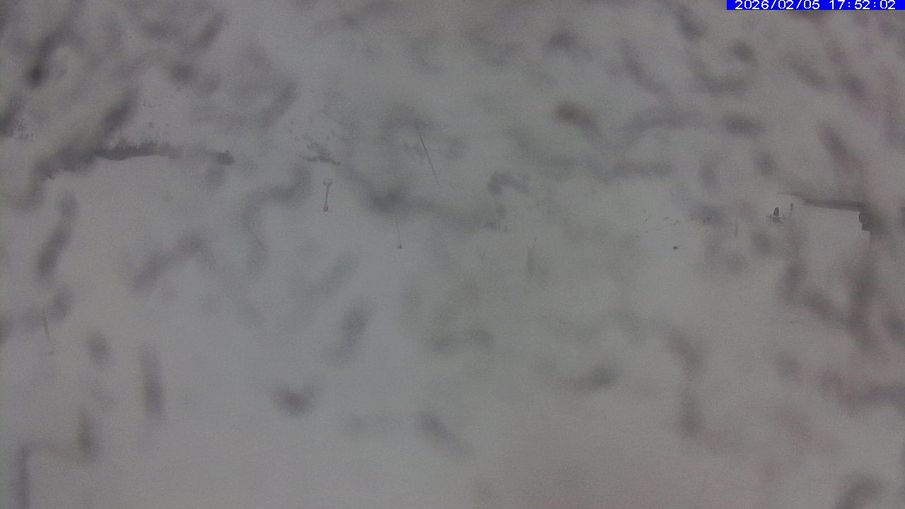 Webcam Leitariegos: Zona media