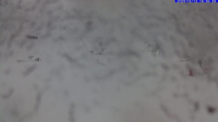 Webcam Leitariegos: Zona media