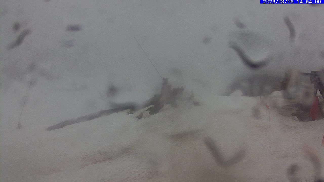 Webcam Leitariegos: Zona media