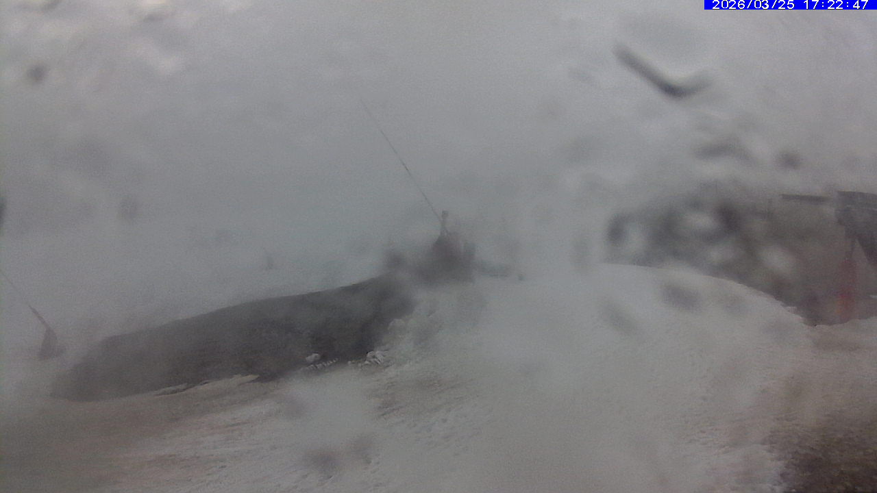 Webcam Leitariegos: Zona media