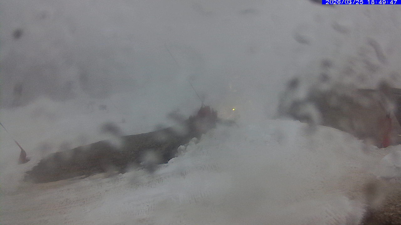 Webcam Leitariegos: Zona media