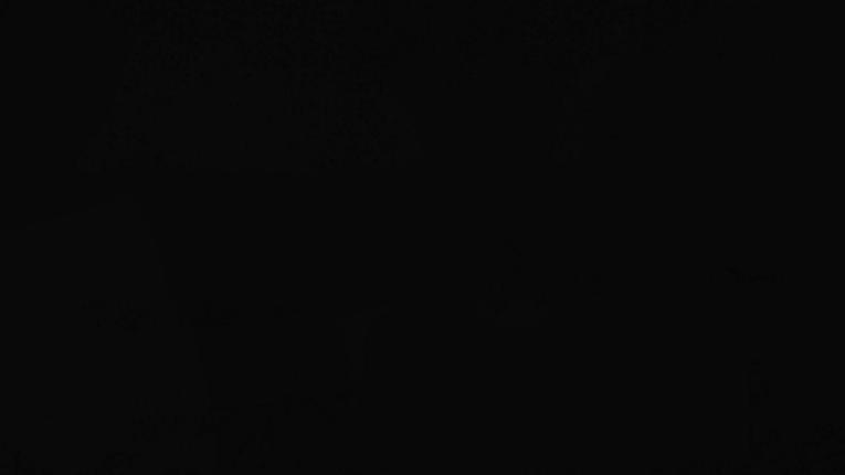 Webcam Les Angles: Vue Panoramique