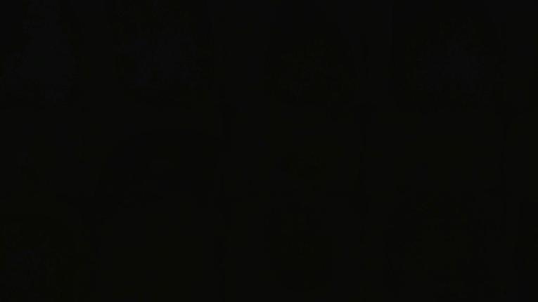 Webcam Les Angles: Vue Panoramique