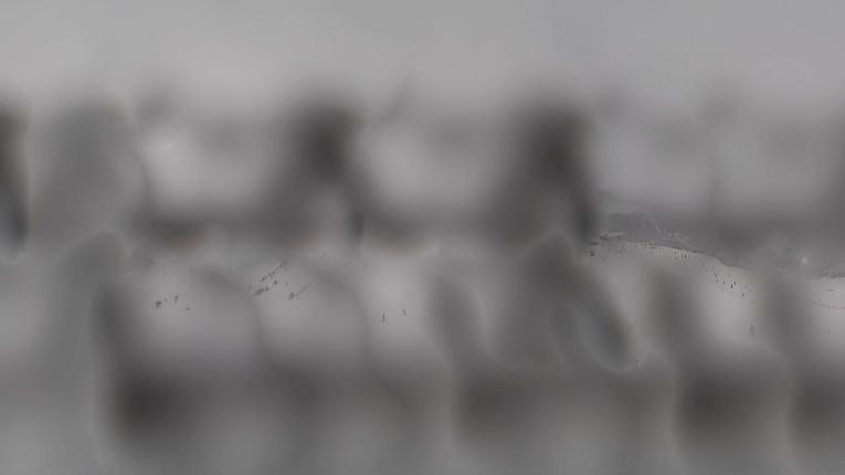 Webcam Les Arcs: Arpette - 2400m