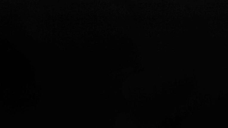 Webcam Les Arcs: MontBlanc 1600m