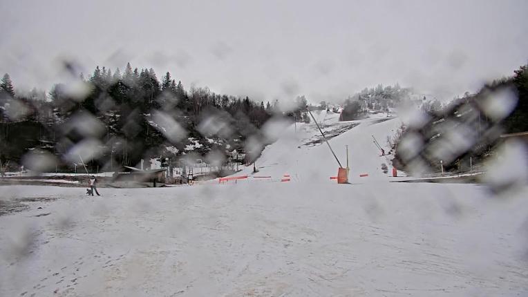 Webcam Les Monts d Olmes: Arrivée Piste