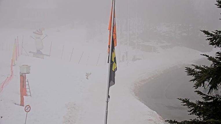 Webcam Les Monts d Olmes: Arrivée Piste