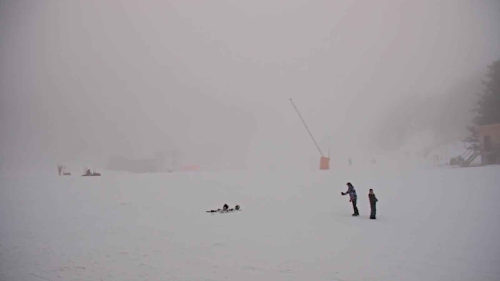 Webcam Les Monts d Olmes: Arrivée Piste