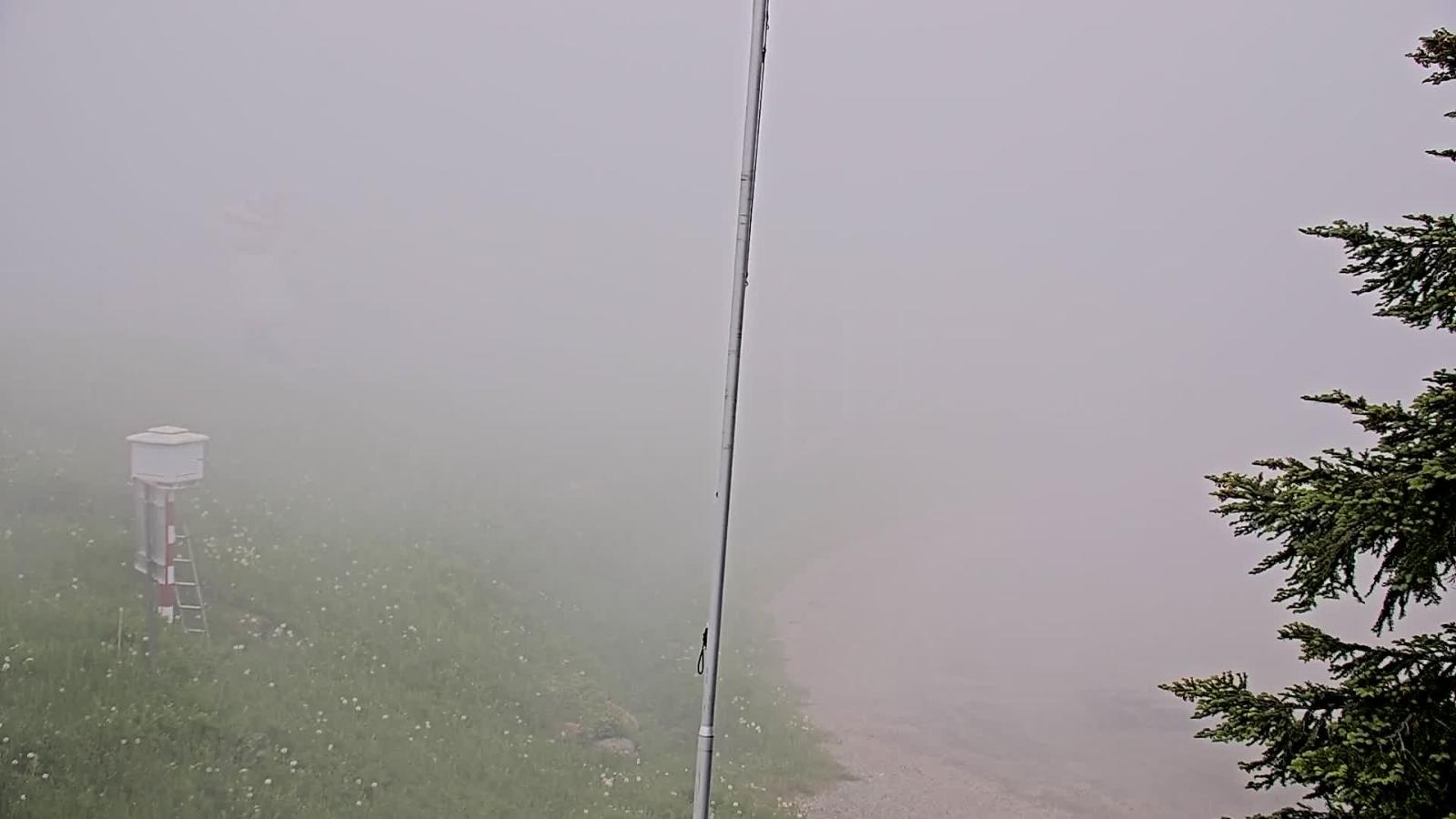 Webcam Les Monts d Olmes: Arrivée Piste
