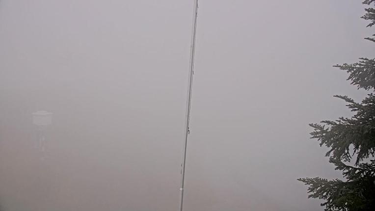 Webcam Les Monts d Olmes: Arrivée Piste