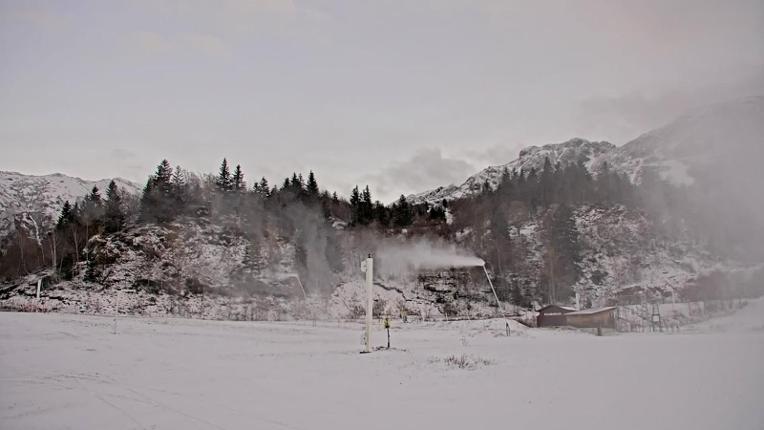 Webcam Les Monts d Olmes: Baby