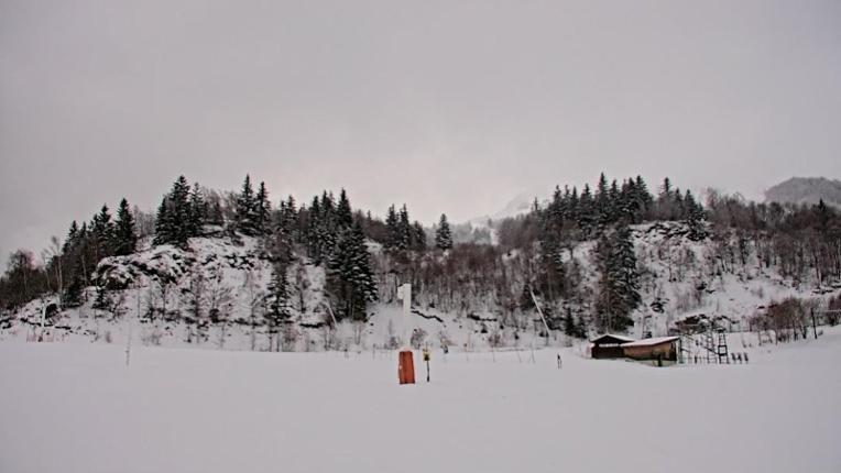 Webcam Les Monts d Olmes: Baby