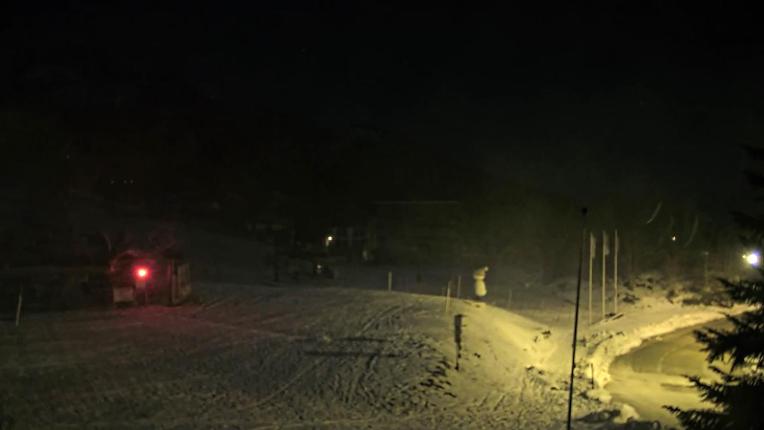 Webcam Les Monts d Olmes: Baby