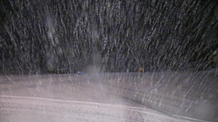 Webcam Les Monts d Olmes: Baby