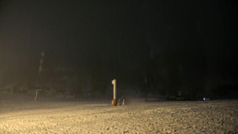 Webcam Les Monts d Olmes: Baby