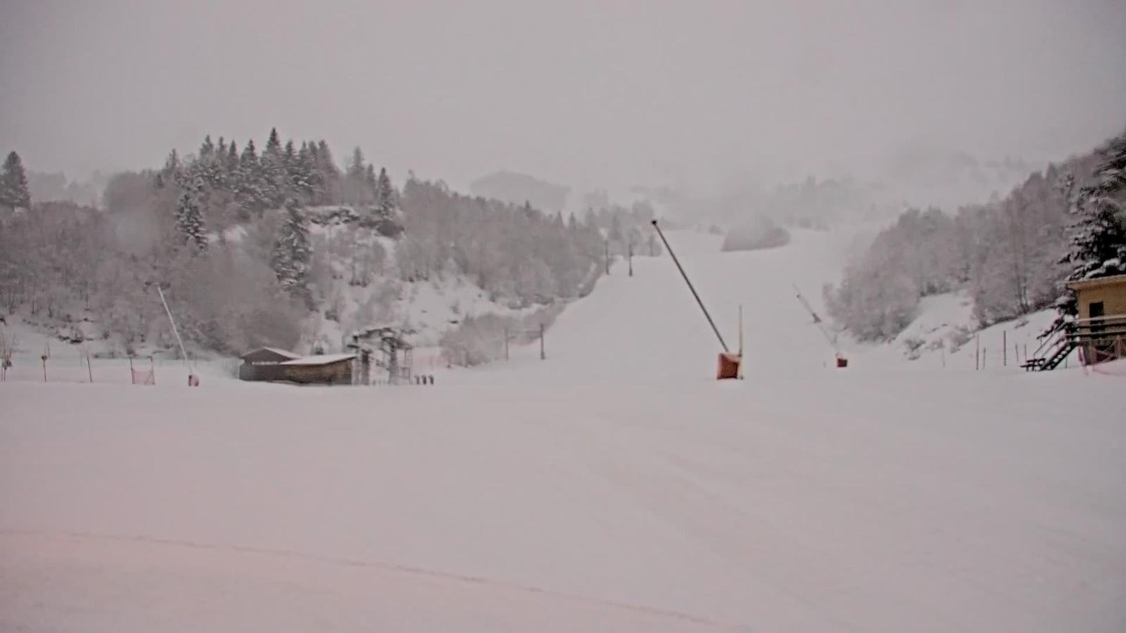 Webcam Les Monts d Olmes: Baby