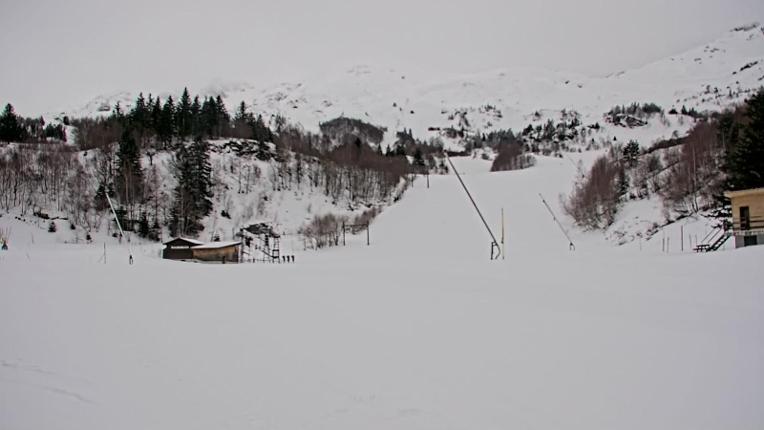 Webcam Les Monts d Olmes: Baby