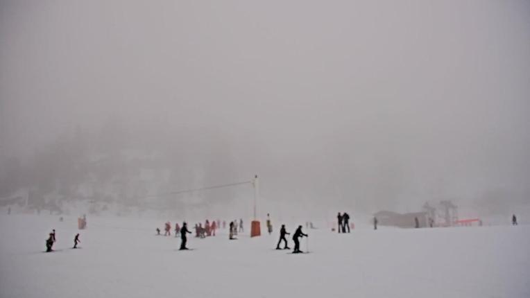 Webcam Les Monts d Olmes: Pradeilles