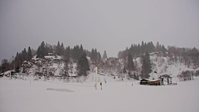 Webcam Les Monts d Olmes: Pradeilles