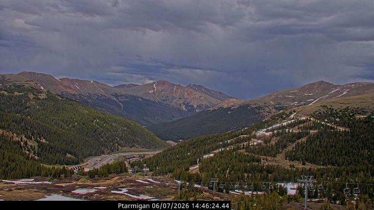 Webcam Loveland: Ptarmigan roost