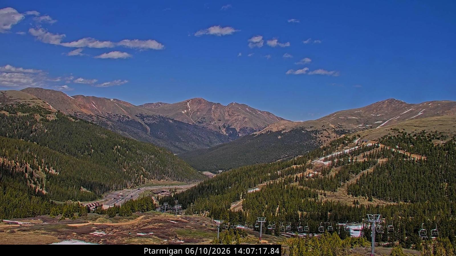 Webcam Loveland: Ptarmigan roost