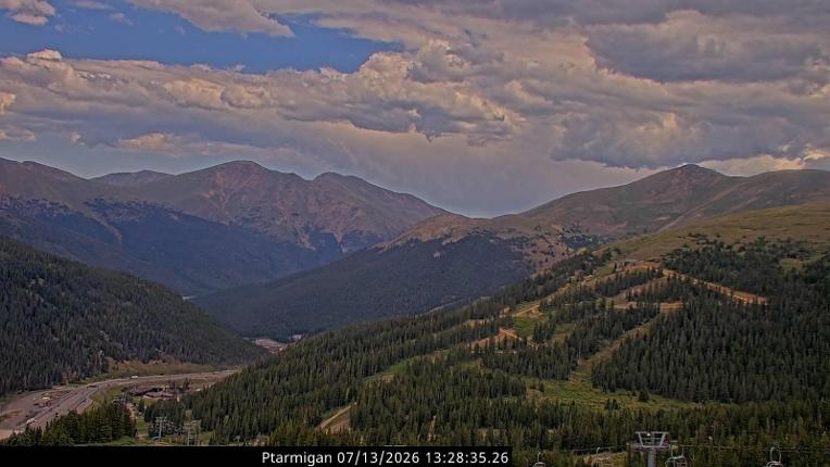 Webcam Loveland: Ptarmigan roost