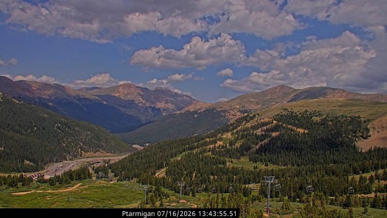 Webcam Loveland: Ptarmigan roost