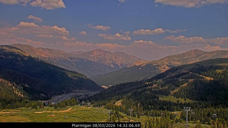 Webcam Loveland: Ptarmigan roost