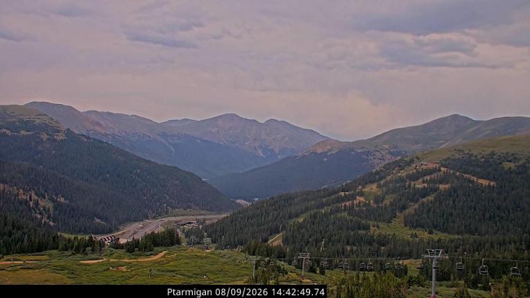 Webcam Loveland: Ptarmigan roost