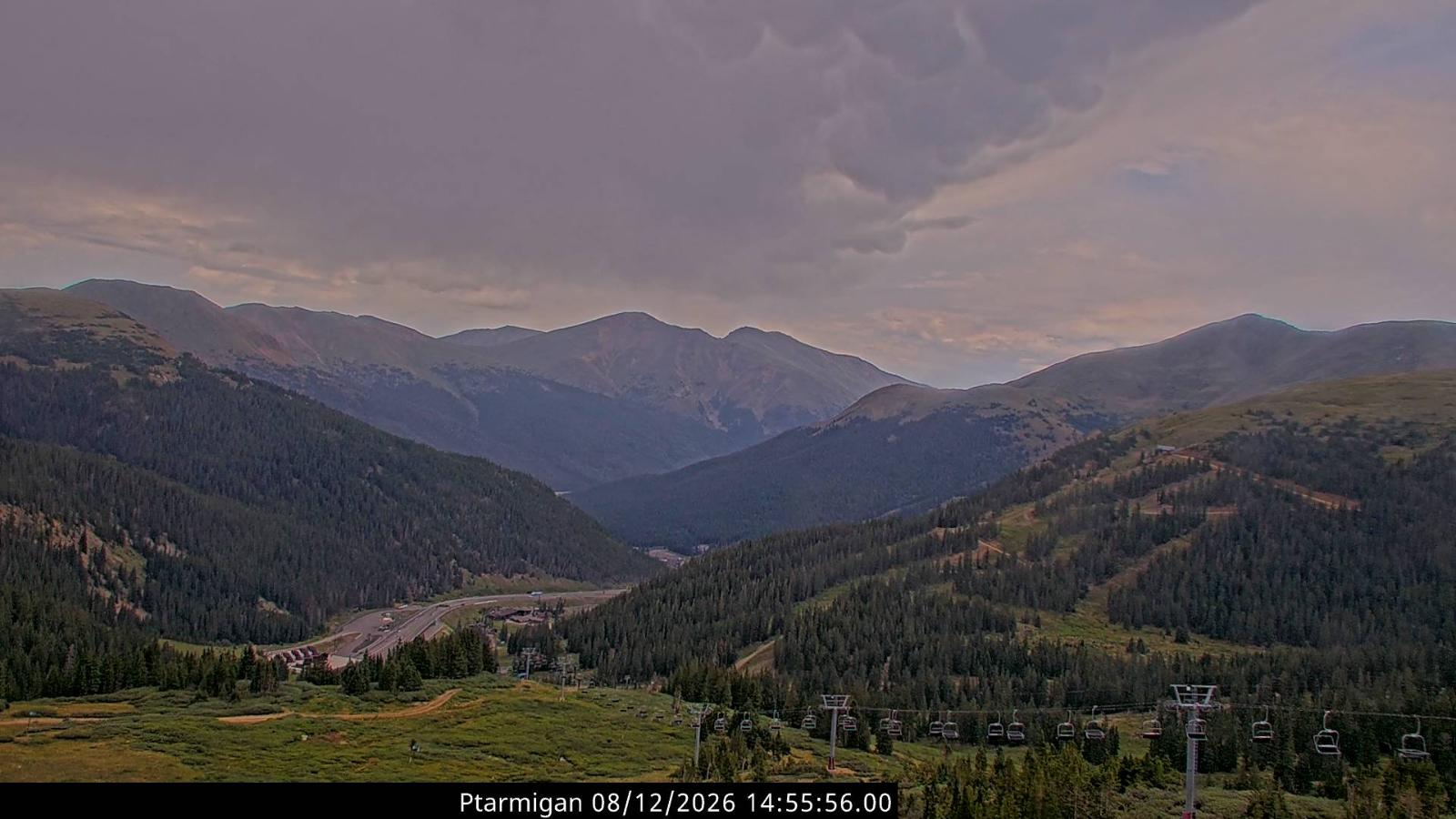Webcam Loveland: Ptarmigan roost