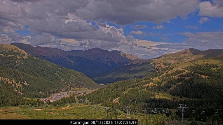Webcam Loveland: Ptarmigan roost