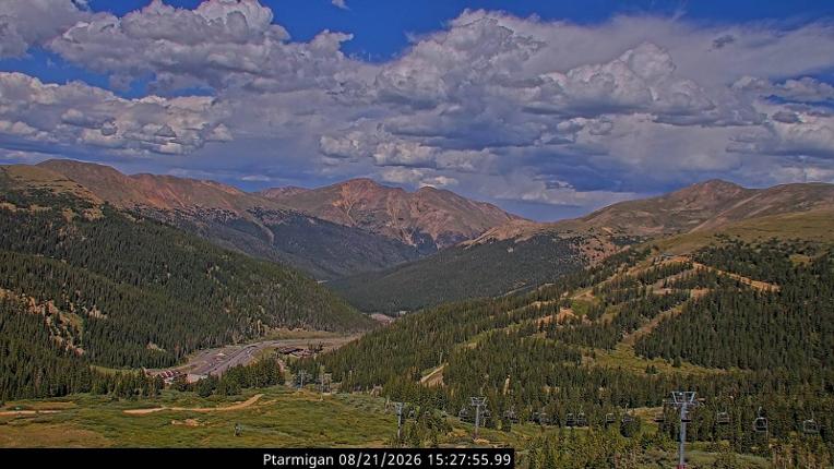 Webcam Loveland: Ptarmigan roost