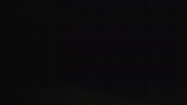 Webcam Loveland: Ptarmigan roost