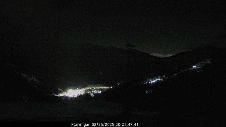 Webcam Loveland: Ptarmigan roost