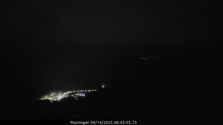 Webcam Loveland: Ptarmigan roost