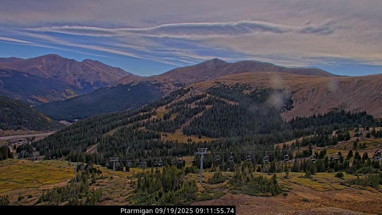 Webcam Loveland: Ptarmigan roost